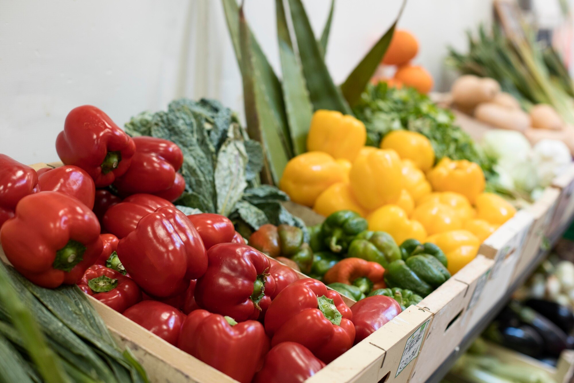 Variedad de frutas y verduras frescas exhibidas en un mercado